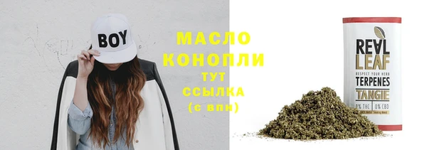 ALPHA PVP Инсар