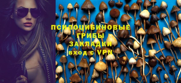 ALPHA PVP Инсар