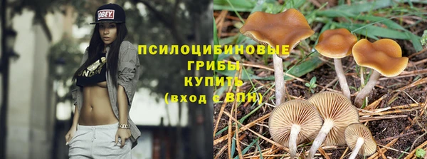 ALPHA PVP Инсар