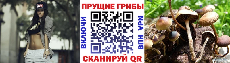 Псилоцибиновые грибы прущие грибы  Иннополис 